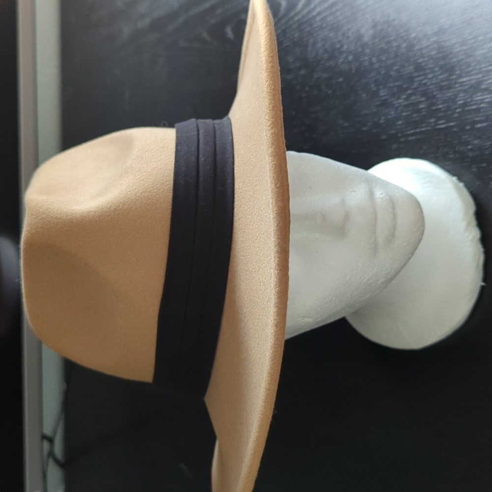 Wide brim fedora style hat